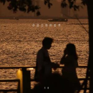 你路过我的世界 (伴奏)