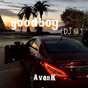 goodboy(DJ版)