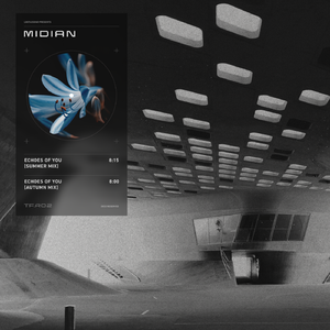 Echoes of You (Summer Mix)