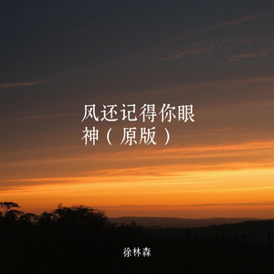风还记得你眼神（原版）