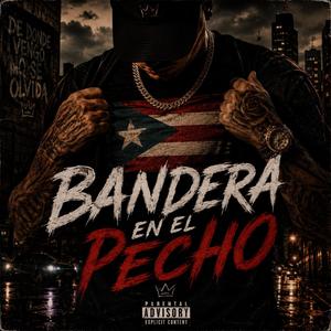 Bandera en el pecho