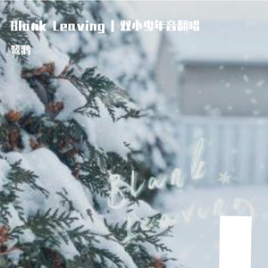 Blank Leaving （留白）| 双小少年音翻唱