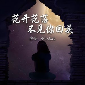 花开花落不见你回头