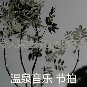 一尘不染回春印象数