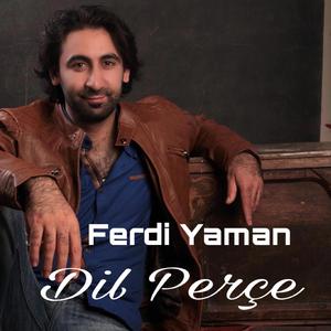 Dil perçe