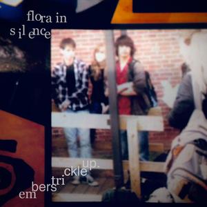 ifellasleepbythedryer