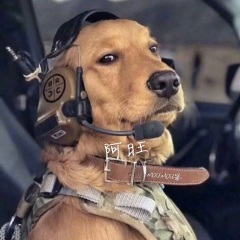 今晚你是我的人 (DJ舞曲版)