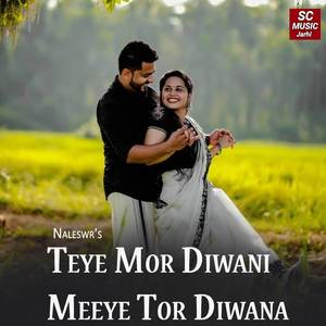 Teye Mor Diwani Meeye Tor Diwana