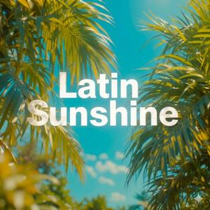 라틴 선샤인(latin sunshine)