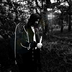 Бескрайняя тайга