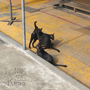 ไม่เหมือนเดิมอีกต่อไปแล้ว