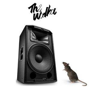 Still Saint P Dub (Питерский даб)