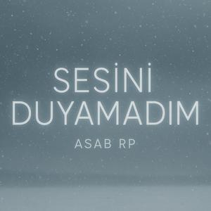 Sesini Duyamadım