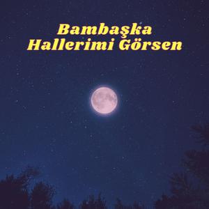 Bambaşka Hallerimi Görsen