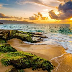 我突然不爱了只是如此