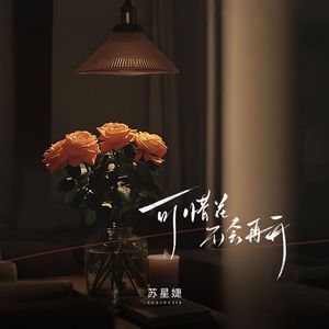 可惜花不会再开（校园广播版）