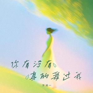 你有没有真的爱过我 (DJ白婷版)