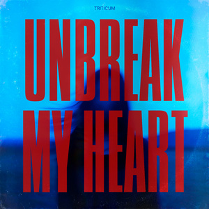Unbreak My Heart