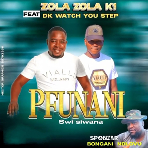 Pfunani Swisiwana