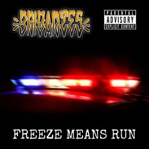 Freeze Means Run