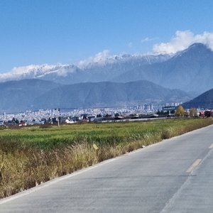 站在风里太久了