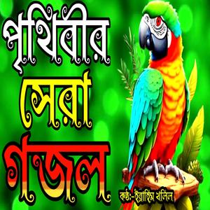 2024 সেরা গজল | মন প্রাণ উজাড় করা সুরে খুব সুন্দর চমৎকার একটি গজল | গজব কেনো আসলো দুনিয়ায় |New gojol