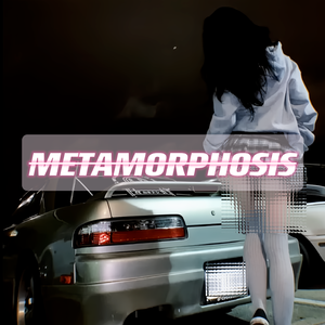 METAMORPHOSIS（洗脑）(SLOWED)