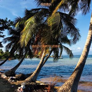 办公事务柔软的爵士