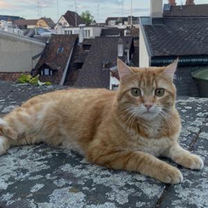 petrichor (feat. luvlxckdown)