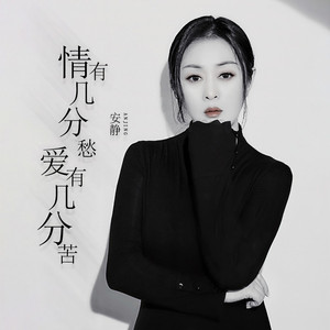 情有几分愁爱有几分苦(DJ版)