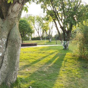 别清醒后又低迷