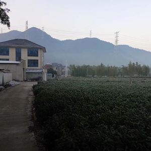 我竟悲伤得不能自已(弹唱)