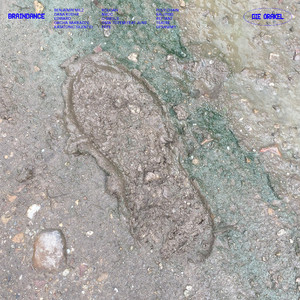 Protectors Of The Moss