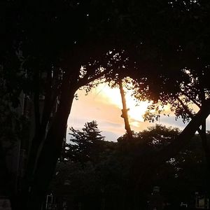 萧瑟