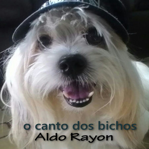 Passear Com Você
