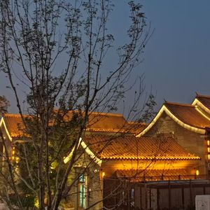 你不是北京 我也不是西雅图