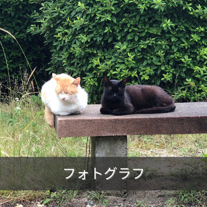 フォトグラフ (feat. 玉姫)