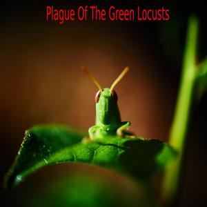 Plague Of The Green Locusts