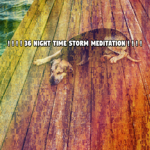 風雨如磐的開始