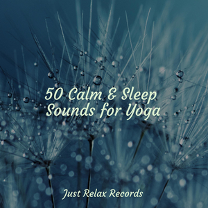 Ocean's Endless Dance