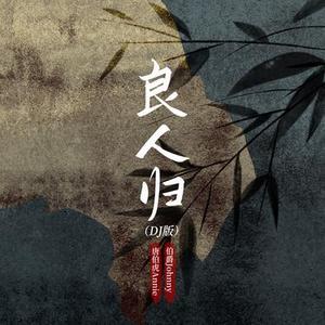 良人归（DJ铁柱版）