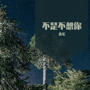不是不想你