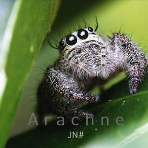 Arachne