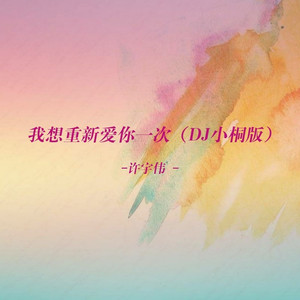 我想重新爱你一次 (DJ小桐版)