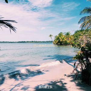 按摩清新的轻音乐