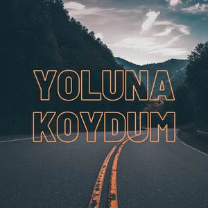 Yoluna Koydum