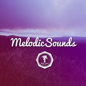Sunset Vibes (Original Mix)