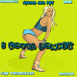 I Gotta Donkey