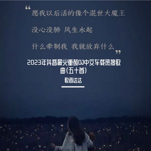 她说（DJ热搜版）