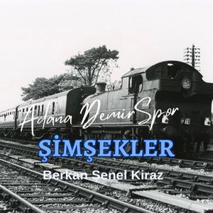 Şimşekler (Adana Demir Spor)